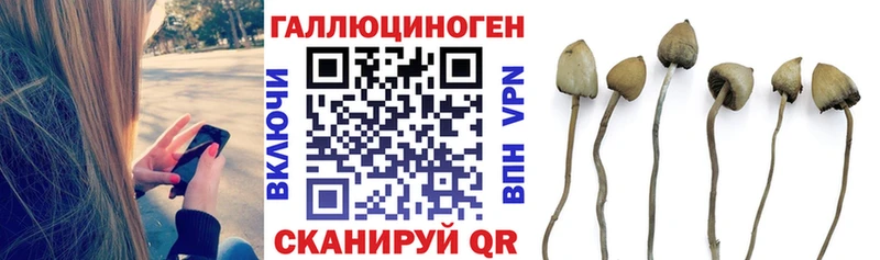 МЕГА рабочий сайт Советская Гавань Галлюциногенные грибы Psilocybine cubensis