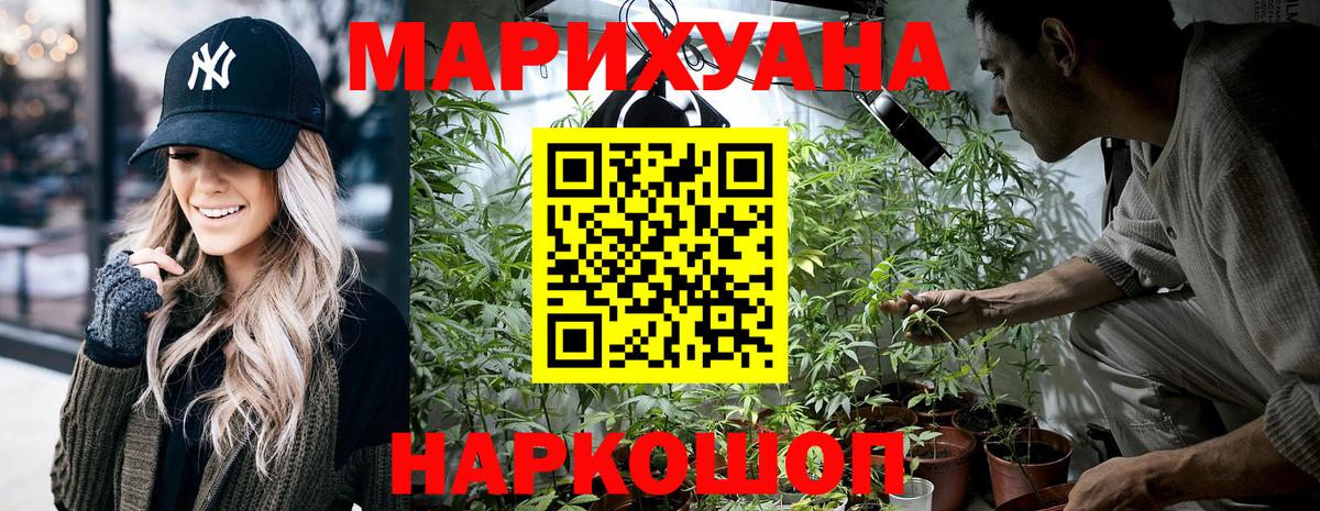 Конопля план  Шишки марихуана тримм  Вход с VPN  Марихуана сатива  Советская Гавань  Канабис план 